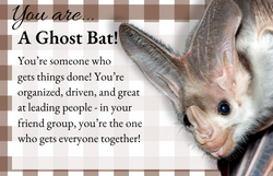 Which Species of Bat Are You?